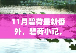 碧荷小记，11月暖阳下的日常趣事