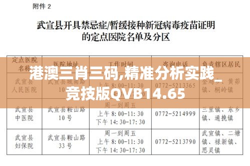 港澳三肖三码,精准分析实践_竞技版QVB14.65