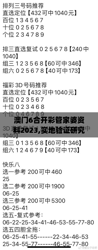 澳门6合开彩管家婆资料2023,实地验证研究方案_生态版OIV5.75