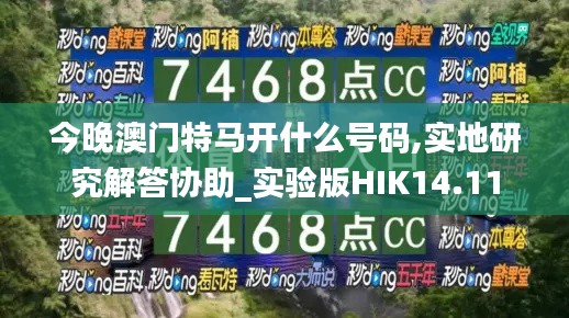 今晚澳门特马开什么号码,实地研究解答协助_实验版HIK14.11