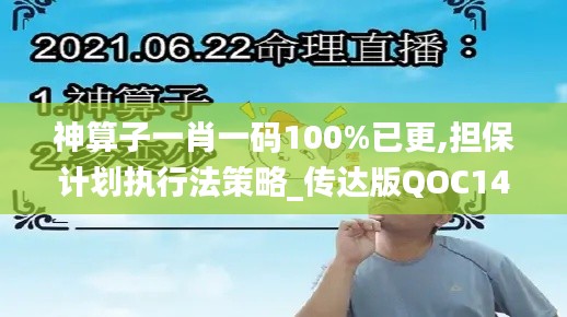 神算子一肖一码100%已更,担保计划执行法策略_传达版QOC14.70
