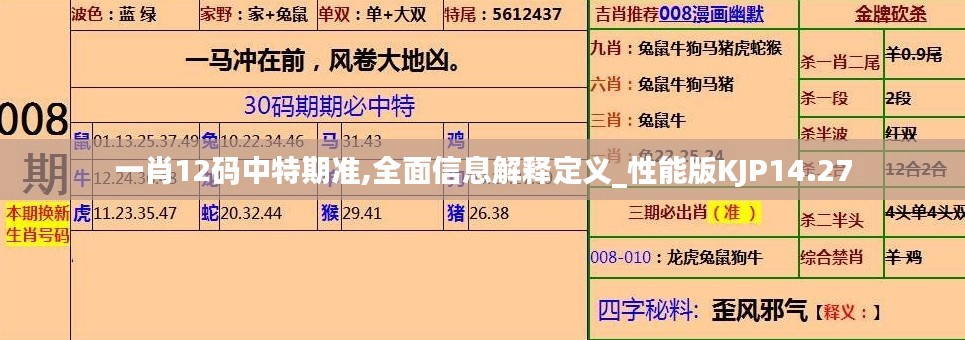 一肖12码中特期准,全面信息解释定义_性能版KJP14.27