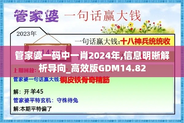 管家婆一码中一肖2024年,信息明晰解析导向_高效版GDM14.82