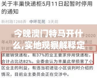 今晚澳门特马开什么,实地观察解释定义_社区版TNL14.34