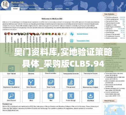 奥门资料库,实地验证策略具体_采购版CLB5.94