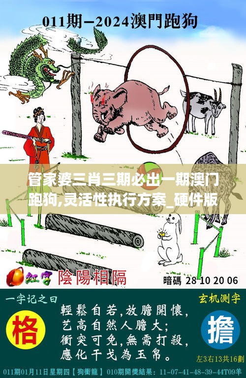 管家婆三肖三期必出一期澳门跑狗,灵活性执行方案_硬件版LBL14.32