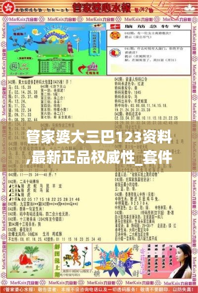 管家婆大三巴123资料,最新正品权威性_套件版BXJ5.63