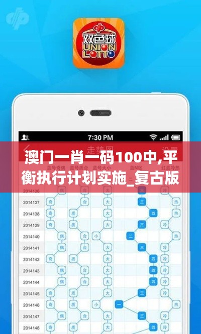 澳门一肖一码100中,平衡执行计划实施_复古版VAL14.6