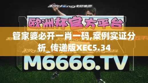 管家婆必开一肖一码,案例实证分析_传递版XEC5.34