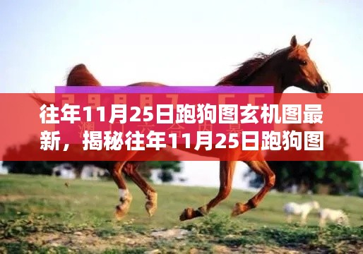 揭秘往年11月25日跑狗图玄机图，深度解析三大要点与最新动态分析