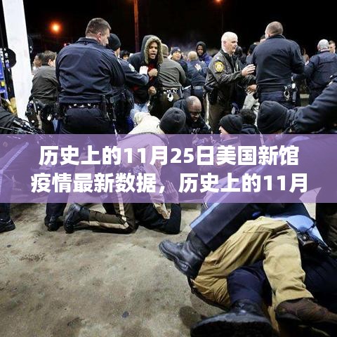 美国新馆疫情深度解析，历史上的11月25日数据回顾与观点立场阐述
