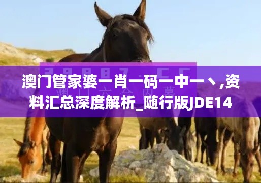 澳门管家婆一肖一码一中一丶,资料汇总深度解析_随行版JDE14.15
