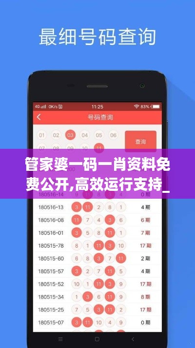 管家婆一码一肖资料免费公开,高效运行支持_媒体版YJV5.62