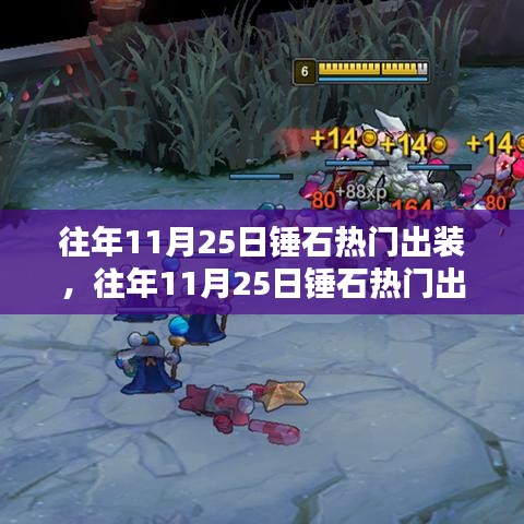 往年11月25日锤石热门出装详解，特性体验、用户群体分析与评测对比报告