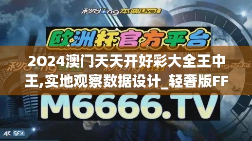 2O24澳门天天开好彩大全王中王,实地观察数据设计_轻奢版FFG5.88