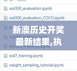 新澳历史开奖最新结果,执行验证计划_高清晰度版VDO5.96
