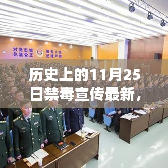 历史上的11月25日禁毒宣传新篇章，小巷中的禁毒故事与宣传最新动态