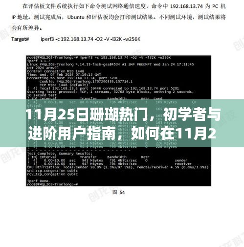 11月25日珊瑚热门攻略，初学者与进阶用户指南，玩转珊瑚任务
