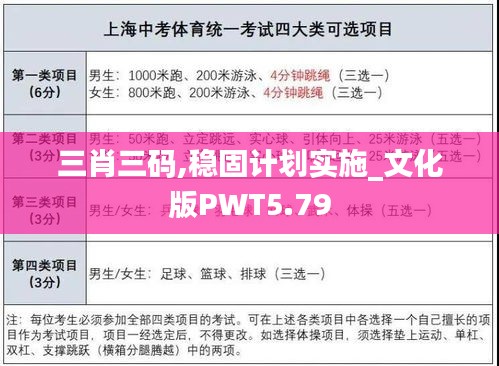 三肖三码,稳固计划实施_文化版PWT5.79