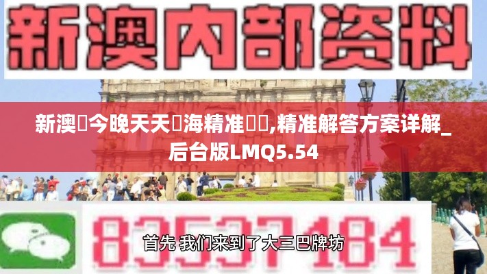 新澳門今晚天天開海精准號馬,精准解答方案详解_后台版LMQ5.54