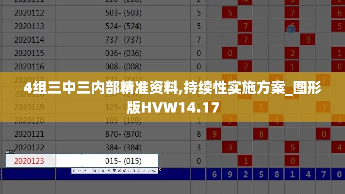 4组三中三内部精准资料,持续性实施方案_图形版HVW14.17