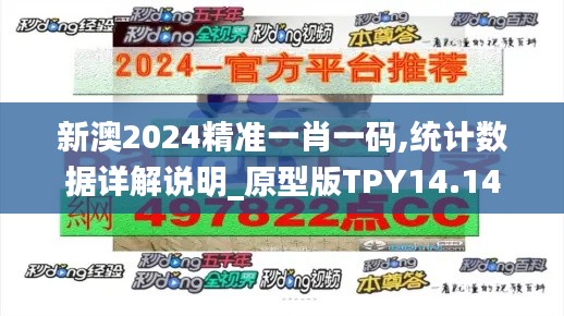新澳2024精准一肖一码,统计数据详解说明_原型版TPY14.14