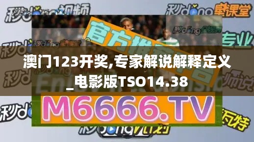 澳门123开奖,专家解说解释定义_电影版TSO14.38