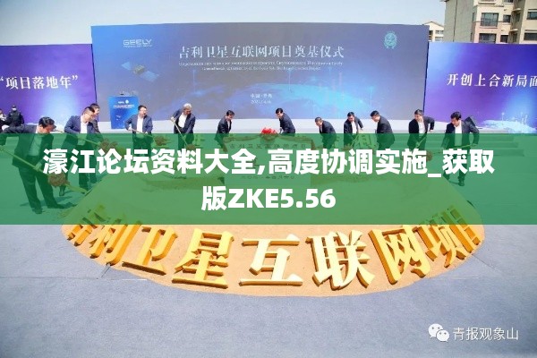 濠江论坛资料大全,高度协调实施_获取版ZKE5.56