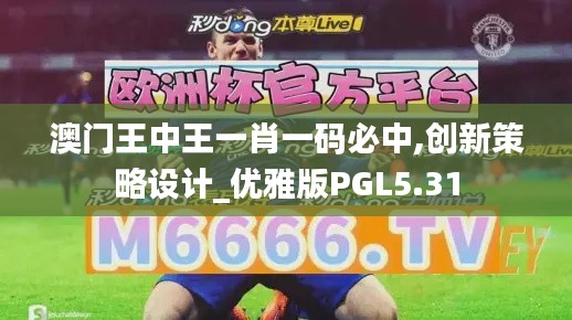 澳门王中王一肖一码必中,创新策略设计_优雅版PGL5.31