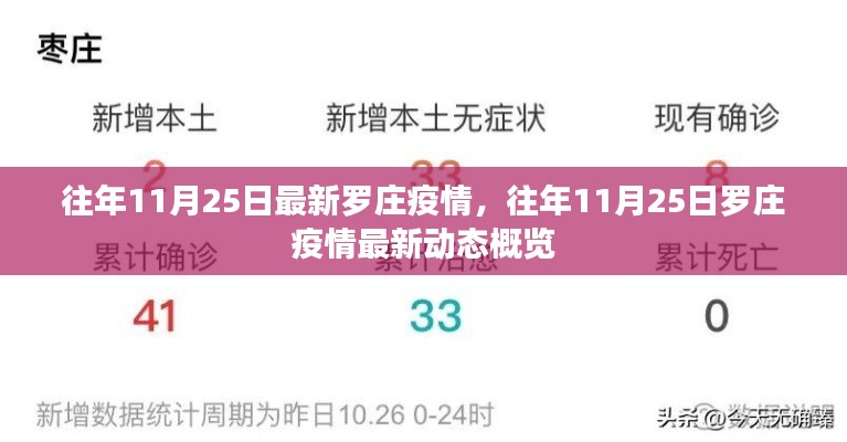 往年11月25日罗庄疫情最新动态概览与疫情分析