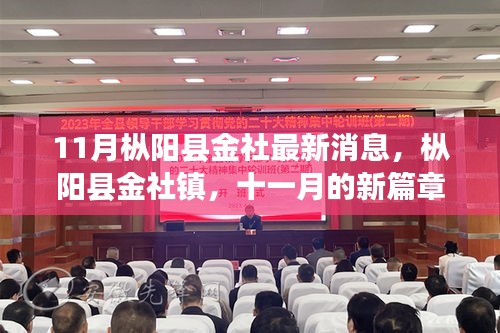 枞阳县金社镇十一月新篇章，见证时代变迁的发展动态