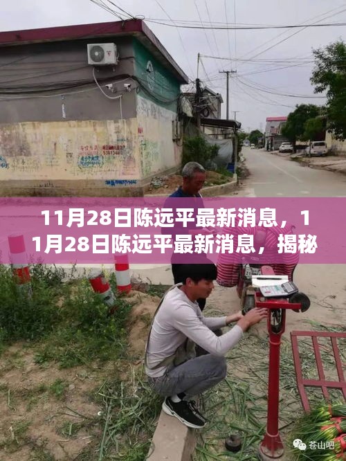 揭秘陈远平最新动态与成就，最新消息一览