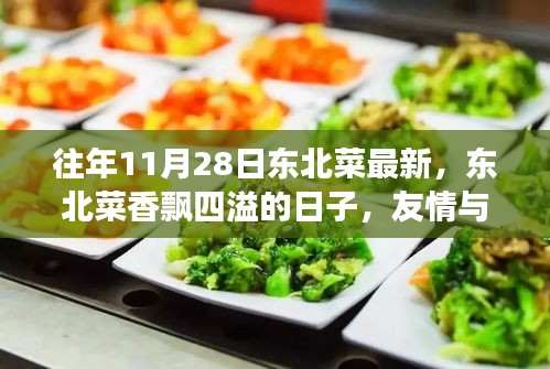 东北菜飘香日，友情与陪伴的温馨故事