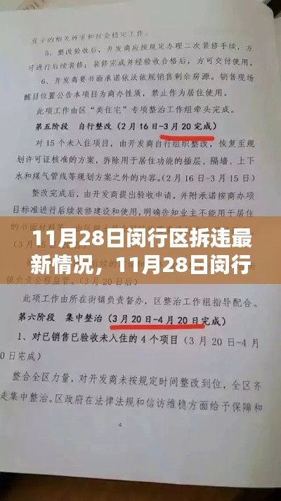 闵行区拆违行动最新动态，11月28日拆违情况与行动步骤指南（初学者与进阶用户必备）