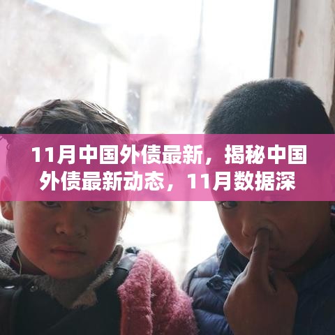 揭秘中国外债最新动态，深度解析11月数据要点