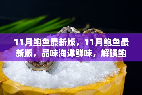 11月鲍鱼最新版，解锁鲍鱼美食新境界，尽享海洋鲜味