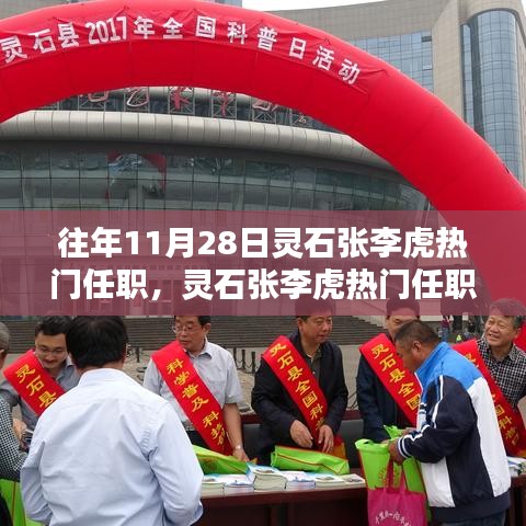 灵石张李虎热门任职深度解析，特性、体验、竞品对比及用户群体全面剖析