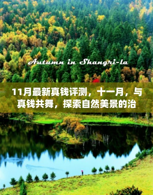 11月最新真钱体验之旅，探索自然美景的治愈之旅