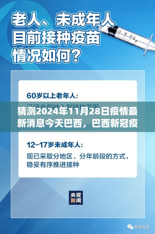 2024年11月28日巴西疫情最新动态预测与评估展望