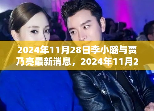 2024年11月28日李小璐与贾乃亮最新消息全解析，步骤指南适用于初学者与进阶用户