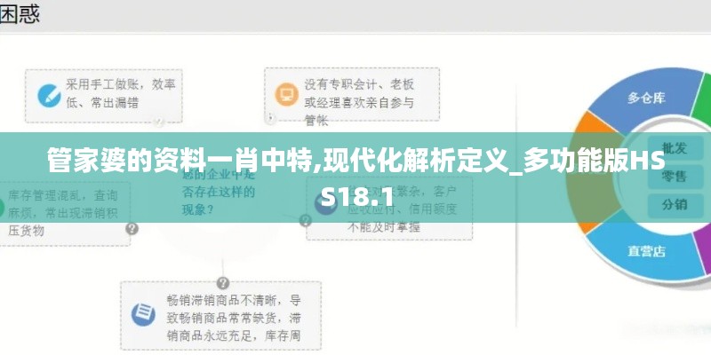 管家婆的资料一肖中特,现代化解析定义_多功能版HSS18.1