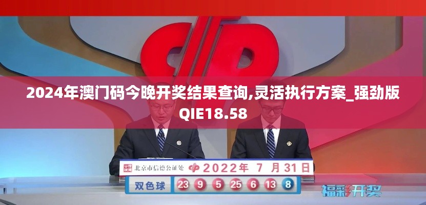 2024年澳门码今晚开奖结果查询,灵活执行方案_强劲版QIE18.58