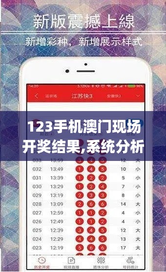 123手机澳门现场开奖结果,系统分析方案设计_高级版VQK18.79