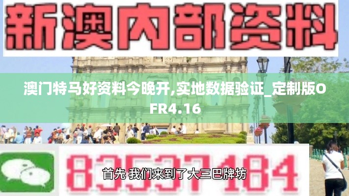 澳门特马好资料今晚开,实地数据验证_定制版OFR4.16