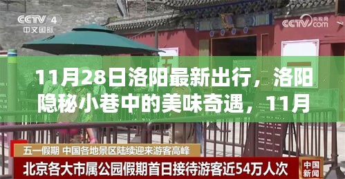 11月28日洛阳隐秘小巷美食之旅，别样出行与美味奇遇