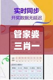 管家婆三肖一码一定中特,专业解读方案实施_紧凑版MQM4.19