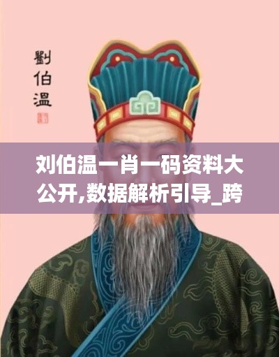刘伯温一肖一码资料大公开,数据解析引导_跨界版QXZ18.53