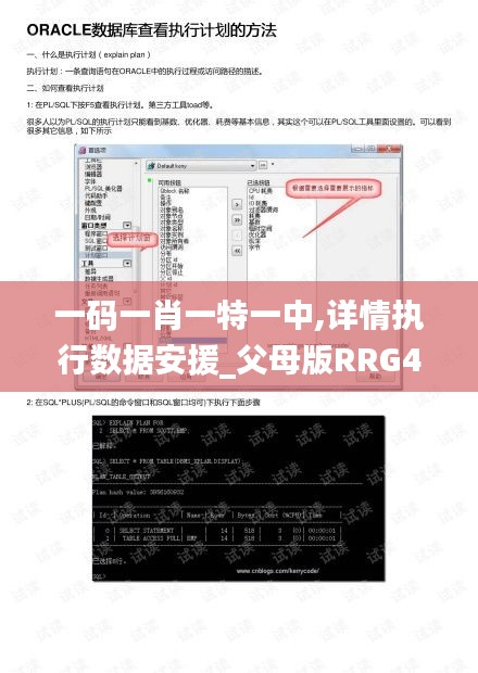 一码一肖一特一中,详情执行数据安援_父母版RRG4.44