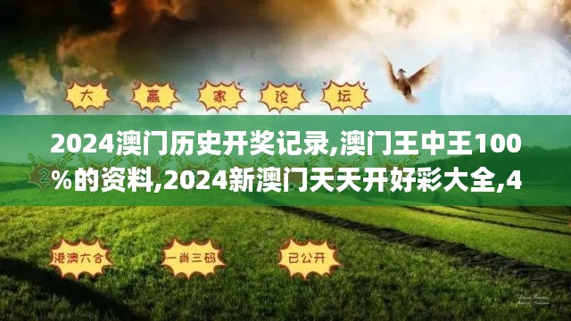 2024澳门历史开奖记录,澳门王中王100%的资料,2024新澳门天天开好彩大全,49494,处于迅速响应执行_定制版IXS18.17