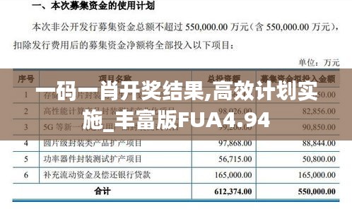 一码一肖开奖结果,高效计划实施_丰富版FUA4.94